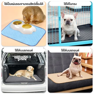 พร้อมส่ง🔥แผ่นรองฉี่สุนัข แผ่นรองฉี่สัตว์เลี้ยง ผ้ารองฉี่หมา เเมว กระต่าย ซักใช้ซ้ำได้ ซึมซับได้ดี มีกันลื่น