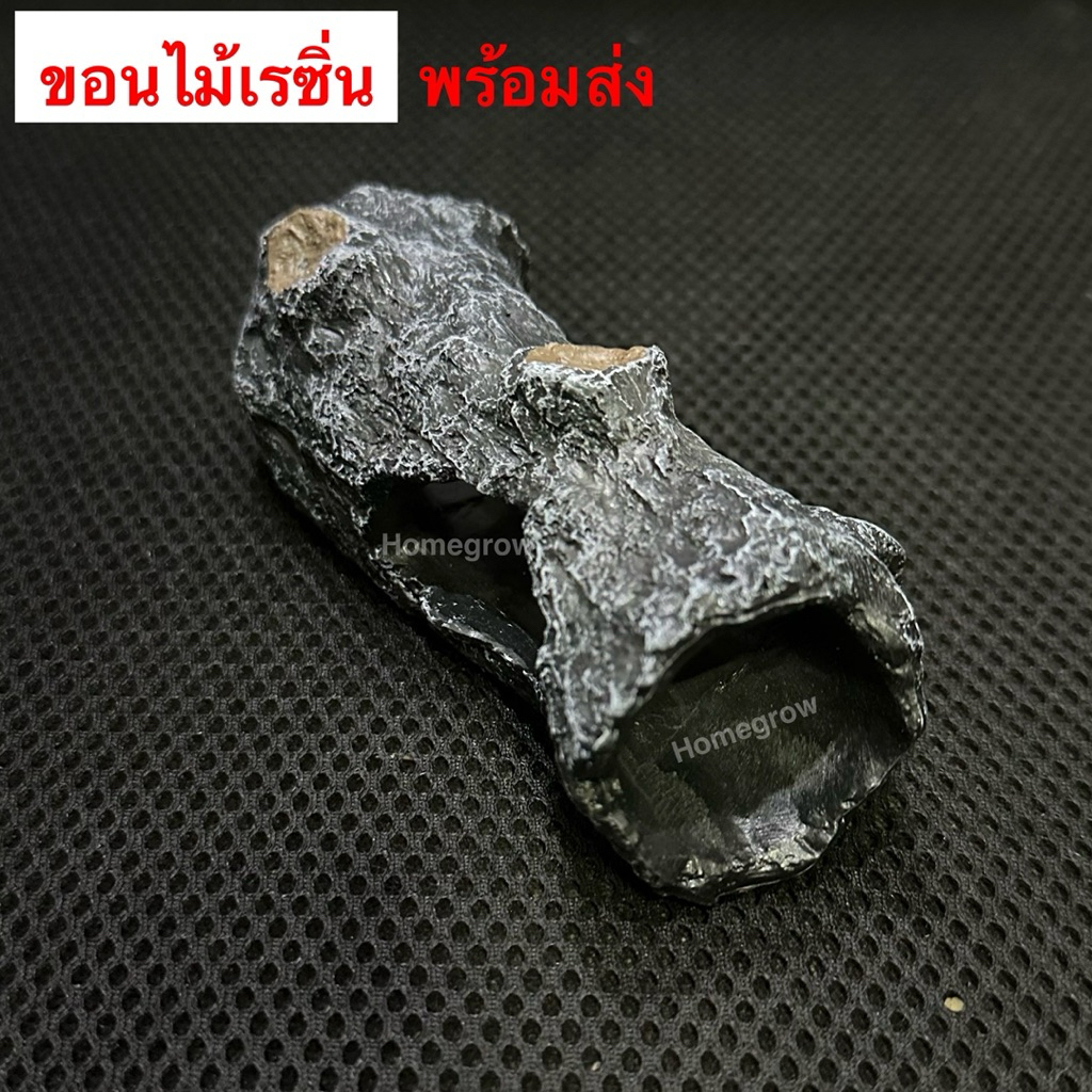 ขอนไม้ กลมดำ  เรซิ่น พร้อมส่ง ในไทย