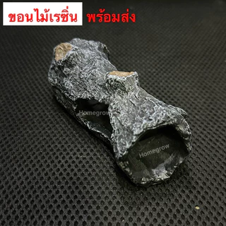 ขอนไม้ กลมดำ เรซิ่น พร้อมส่ง ในไทย
