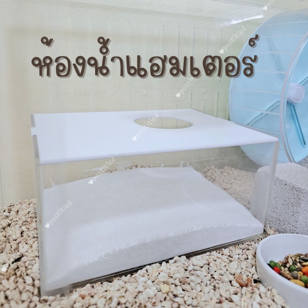 ห้องน้ำแฮมเตอร์ ห้องน้ำหนู ห้องน้ำอะคริลิคใส ห้องอาบน้ำแฮมสเตอร์