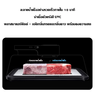 JAERSENT เครื่องละลายน้ำแข็ง เครื่องละลายอย่างรวดเร็วอัจฉริยะช่วยให้อาหารมีคุณค่า การละลายน้ำแข็งเนื้อวัว/อาหารทะเล/ไก่