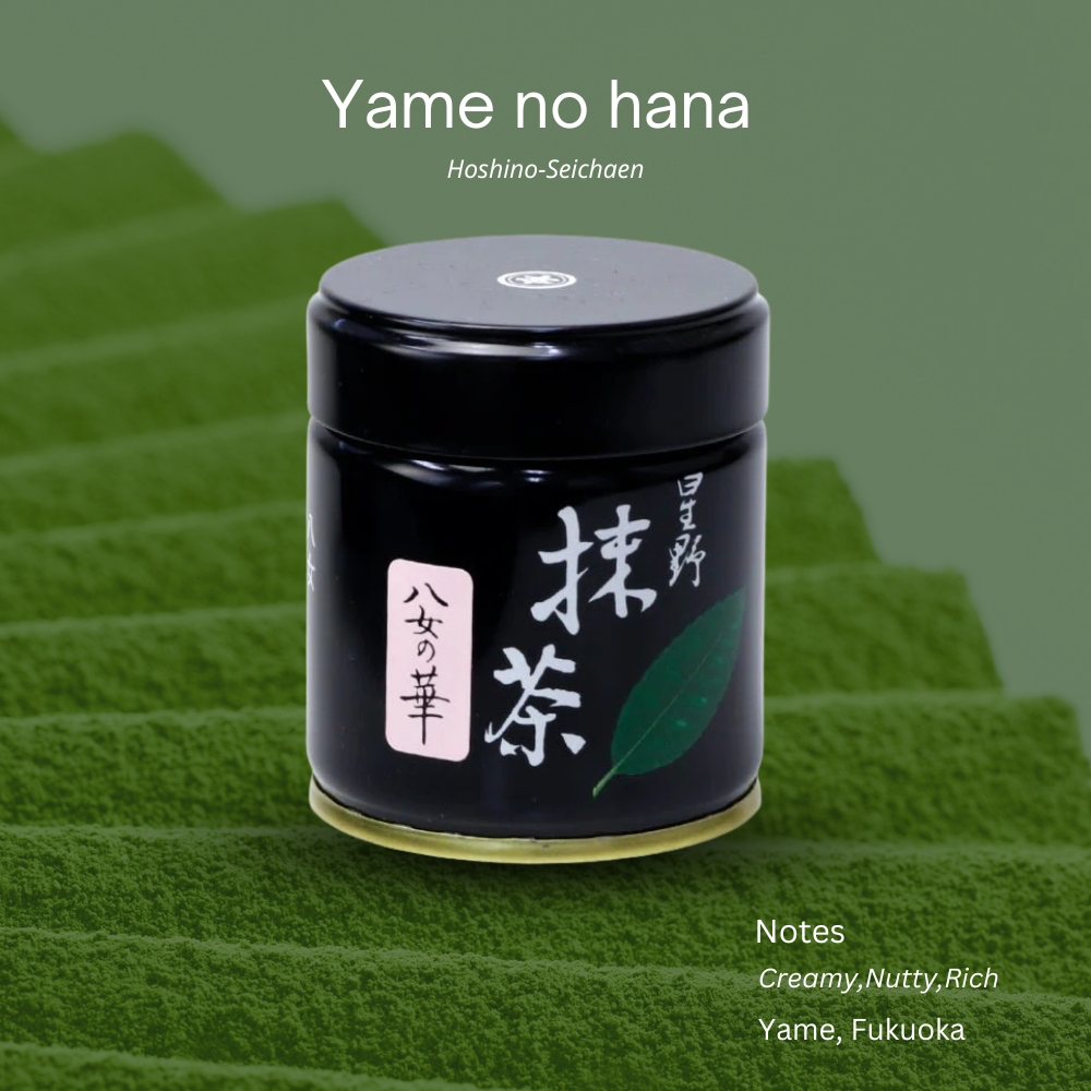 (พร้อมส่ง) "Yame no Hana" จาก Hoshino-Seichaen