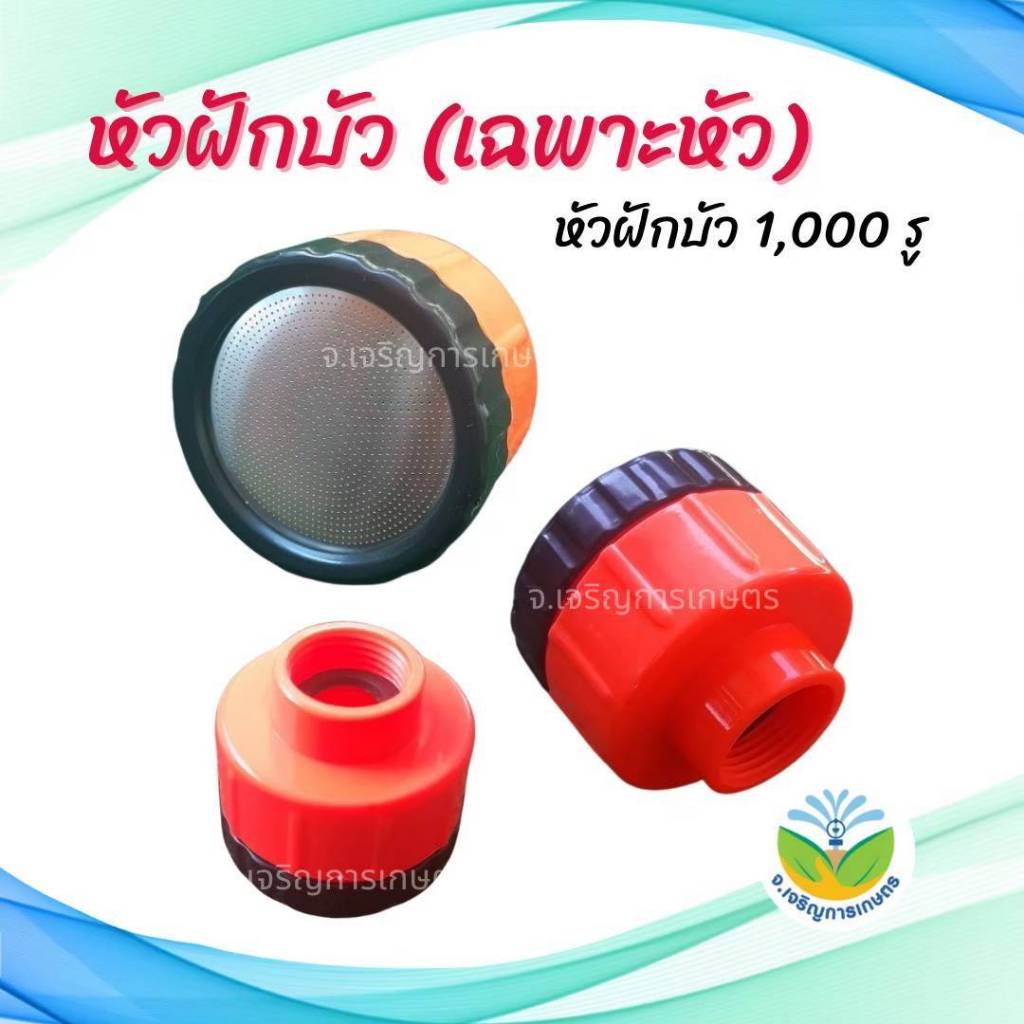 หัวฝักบัวรดน้ำ1,000 รู และ 2,000 รู #หัวบัวพลาสติก #หัวบัวสแตนเลส #รดน้ำต้นไม้ ราคา ถูกที่สุด ดีลบีเคเค แกลเลอรีภาพที่ 4