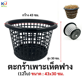 (ยกโหล 12 ใบ ) ตะกร้าเพาะเห็ดฟาง ตะกร้าเพาะปลูกเฟิร์น  ตะกร้…