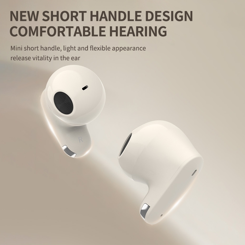 รูปภาพ 5