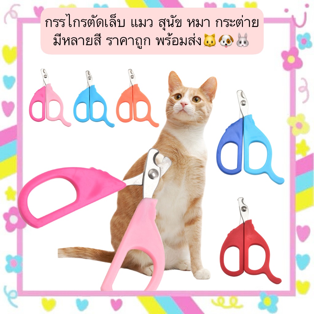 AL-662-กรรไกรตัดเล็บสำหรับแมว สุนัข และกระต่าย มีหลายสีสวย ราคาสบายกระเป๋า พร้อมจัดส่งทันที! 🐱🐶🐰