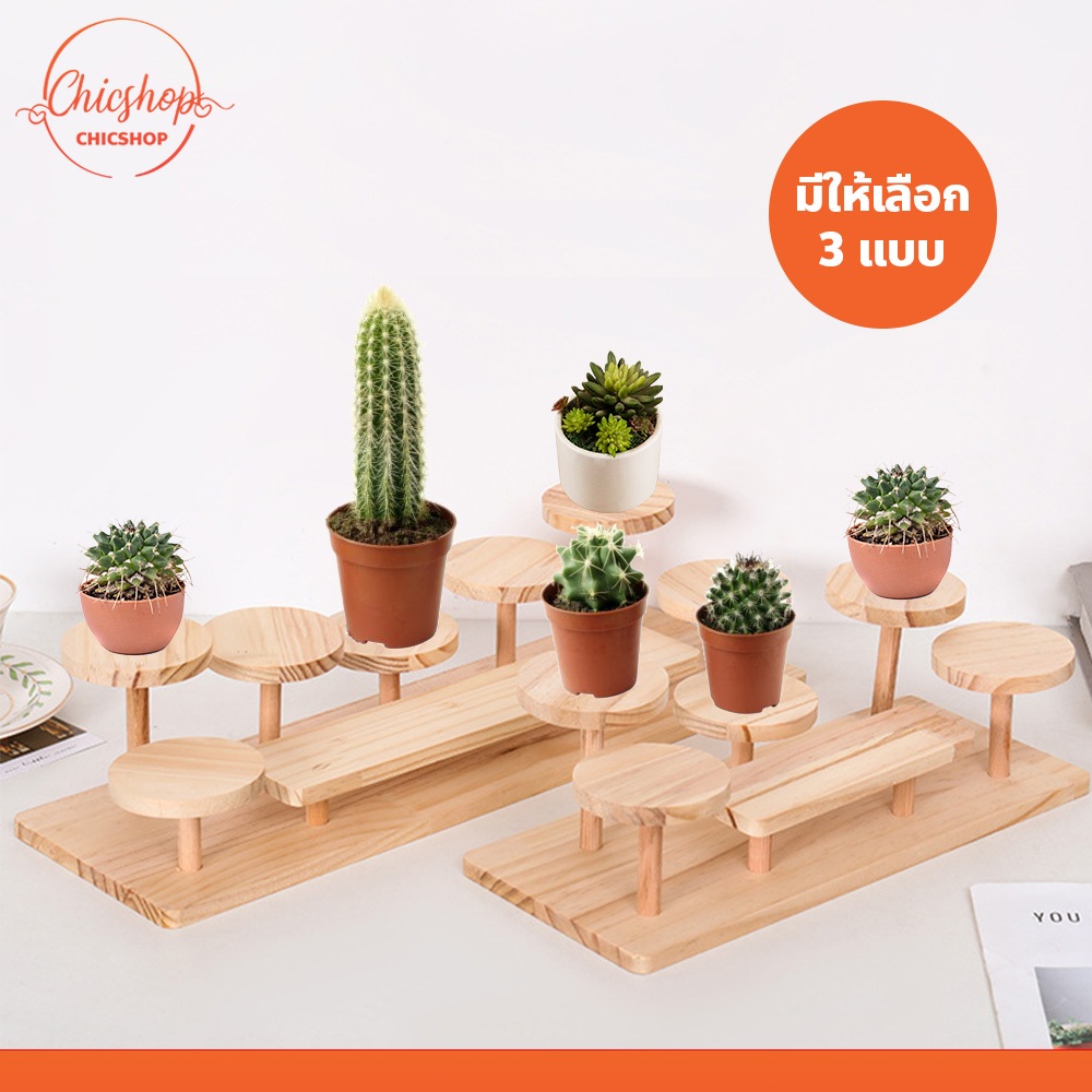 ชั้นวางของ สำหรับโชว์เครื่องประดับ ของตกแต่ง ชั้นตั้งโชว์โมเดล ต้นไม้ แบบตั้งโต๊ะ
