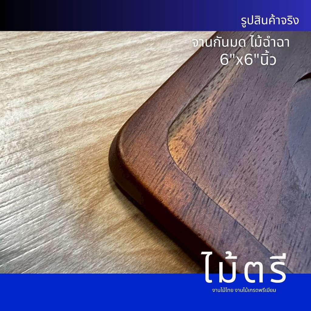 จานกันมดไม้จามจุรี (ไม้ฉำฉา) 6