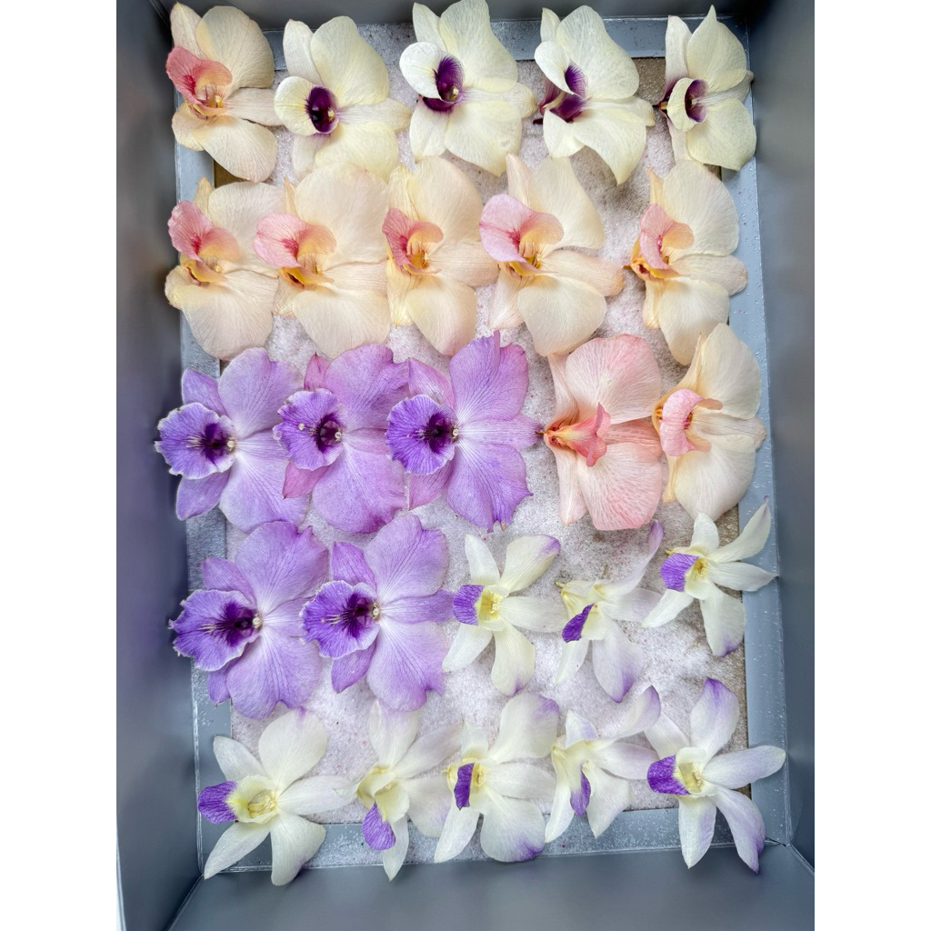 ดอกกล้วยไม้อบแห้ง พร้อมใช้งาน เกรดA(ไม่ย้อมสี สีธรรมชาติ)