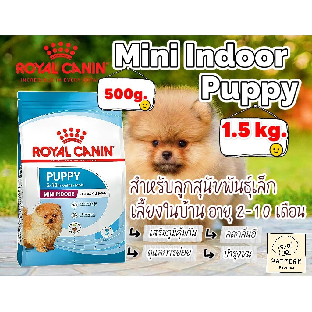 Royal Canin Mini indoor Puppy ขนาด 500 g.และ 1.5 kg. สำหรับลูกสุนัขพันธุ์เล็กอายุ 2-10 เดือน