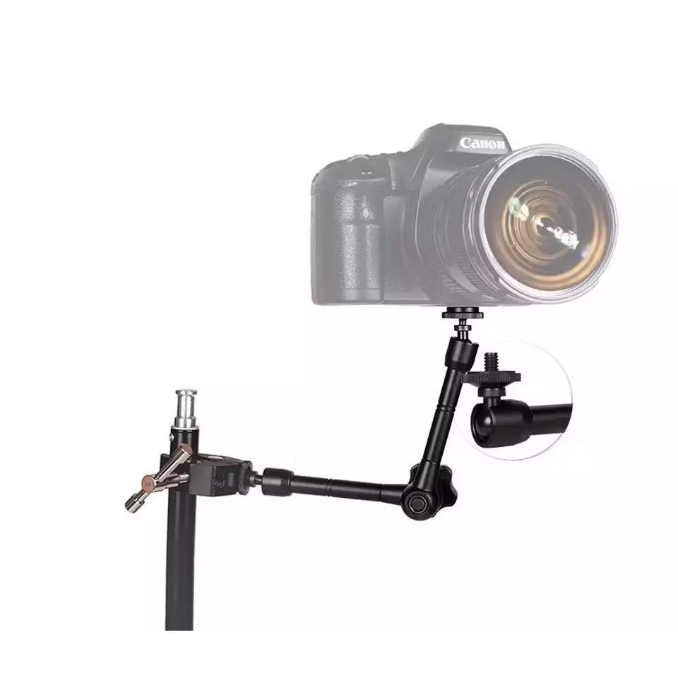 รูปภาพ 7