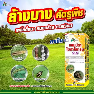 แลมป์ดา ไซฮาโลทริน สูตรเย็น ออกฤทธิ์เร็ว กำจัดหนอน หนอนเจาะต้น แมลงหวี่ขาว เพลี้ย เอเจนต้า คอร์ป ขนาด 1 ลิตร