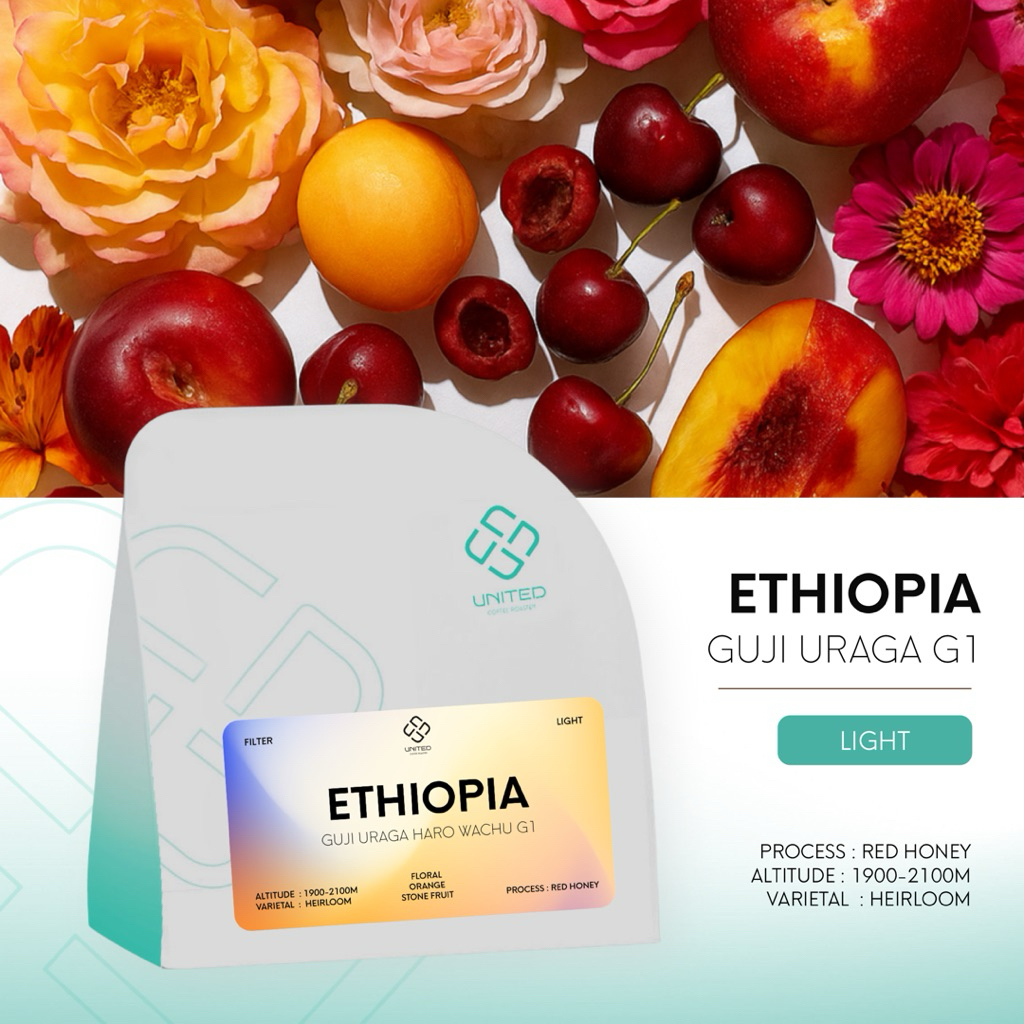 New!🔥 United Coffee Roaster เมล็ดกาแฟเอธิโอเปีย คั่วอ่อน (ETHIOPIA GUJI URAGA G1)
