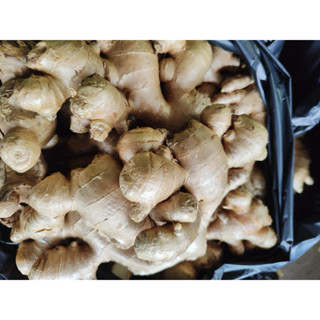 ขิงแก่แพรใหญ่ประมาณ 1000 กรัมหรือ 1 กิโล 950 กรัม บวกลบจร้า