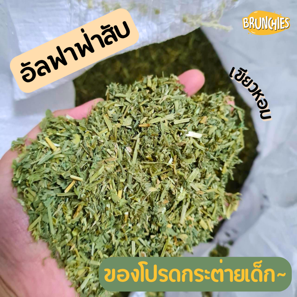 Brunchies หญ้าอัลฟาฟ่าอย่างดีร่อนฝุ่น (1kg) พรีเมียม สับ/ก้านสั้น สำหรับกระต่าย แกสบี้ ชินชิลล่า รูปที่ 3