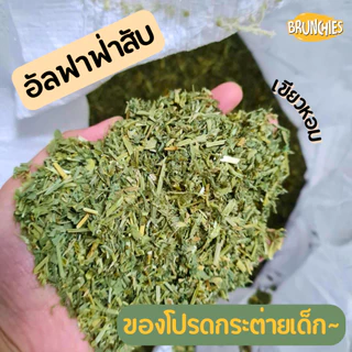 Brunchies หญ้าอัลฟาฟ่าอย่างดีร่อนฝุ่น (1kg) พรีเมียม สับ/ก้านสั้น สำหรับกระต่าย แกสบี้ ชินชิลล่า