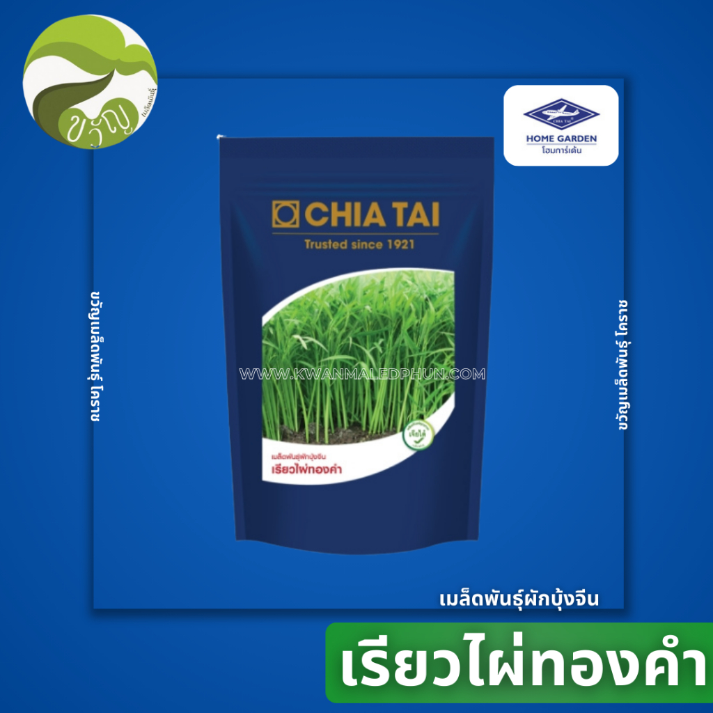 เมล็ดพันธุ์ ผักบุ้งจีน เรียวไผ่ทองคำ ตราเจียไต๋ ขนาด 1 กก.