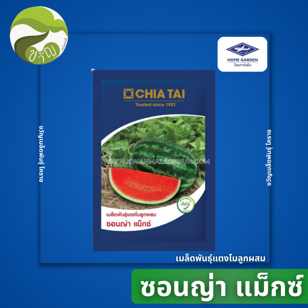 [ซื้อ2จ่าย1] เมล็ดพันธุ์ แตงโม ลูกผสม ซอนญ่าเเม็กซ์ ตรา เจียไต๋ EXP 07/69