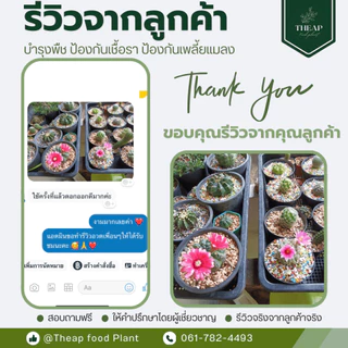 สเปรย์ป้องกันและกำจัดเชื้อราTHEAP