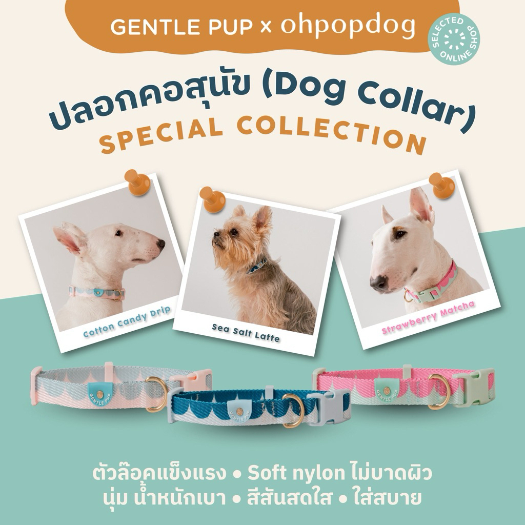 Dog collar Gentlepup x ohpopdog ( Special Collection )ปลอกคอสุนัข ปลอกคอ นำเข้าจากสิงคโปร์