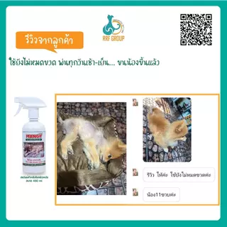 Mangy สเปรย์เมนจี้ ใช้สำหรับผิวหนังสุนัขและแมวทุกสายพันธุ์ ขวดละ 450ml.