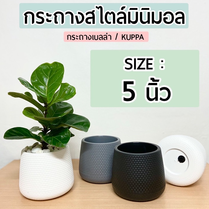 กระถางต้นไม้มินิมอล 5 นิ้ว🌿 มีจานรองในตัวกระถางทรงโมเดิร์นหยดน้ำ Minimal เบลล่า Kuppa
