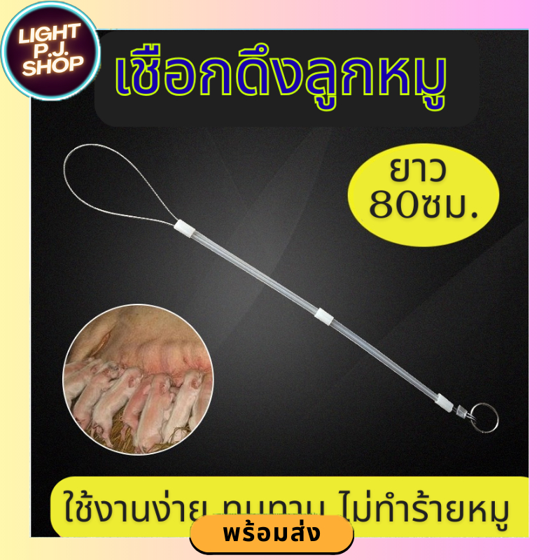 (สินค้าพร้อมส่ง) สลิงคล้องคลอดหมู ง่ายต่อการดึงคลอด ลวดสลิงมัดลูกสุกร