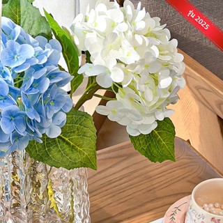 【🚀จัดส่งภายใน 1 วัน】ไฮเดรนเยียคุณภาพสูงสัมผัสได้ถึงดอกไฮเดรน…