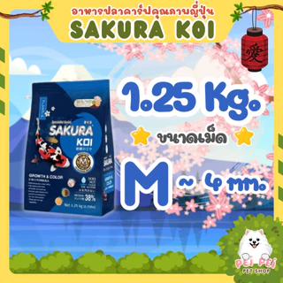 ⚡Flash Sale⚡อาหารปลาคาร์ฟ Sakura Koi (ซากุระ โค่ย) สูตรเร่งโต+เร่งสี ขนาด 1.25 กก และ 6.5 กก.