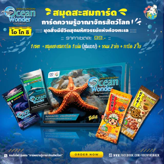 🌊✨สมุดสะสมการ์ด Animal Kingdom : Ocean Wonder “การ์ดความรู้อาณาจักรสัตว์โลก”