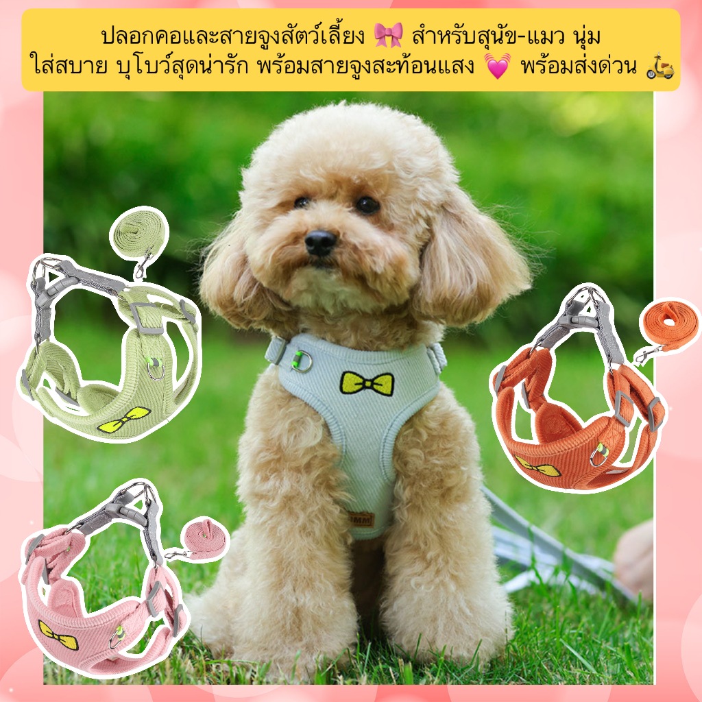 AL-715 ปลอกคอและสายจูงสัตว์เลี้ยง 🎀 สำหรับสุนัข-แมว นุ่ม ใส่สบาย บุโบว์สุดน่ารัก พร้อมสายจูงสะท้อนแสง 💓 พร้อมส่งด่วน 🛵