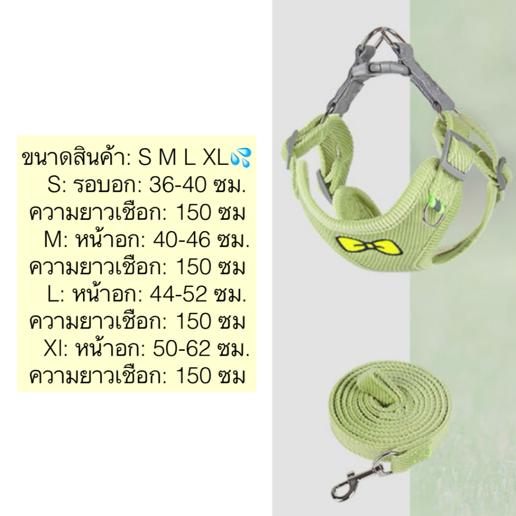 PP-715 ปลอกคอ  สายจูงสัตว์เลี้ยง สำหรับสุนัข-แมว นุ่ม ใส่สบาย บุโบว์สุดคิ้วท์ พร้อมสายจูงสะท้อนแสง   พร้อมส่ง ราคา ถูกที่สุด ดีลบีเคเค แกลเลอรีภาพที่ 2