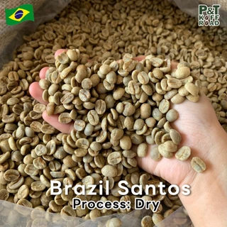 [พร้อมส่ง] สารกาแฟ Brazil Santos NY2 Green Bean รวม บรรจุ 500g - 1 kg. P&T KoffRoad