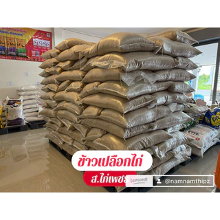 ‼️มีโค้ดส่งฟรี มีส่วนลด‼️ ข้าวเปลือกไก่ชน ขนาด 25 กิโลราคาถูก ✅ คัดพิเศษ เป่าฝุ่น/เม็ดลีบ ข้าวจ้าวพันธุ์กข79,85 พร้อมส่ง
