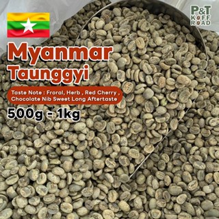 [พร้อมส่ง] สารกาแฟพม่า ตองจี Myanmar Wash Process บรรจุ 500g…