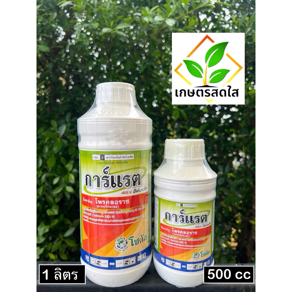 ✨ "การ์แรต" (โพรคลอราซ45%) ✨ สูตร EW ปลอดภัยต่อดอก ป้องกันกำจัดโรคแอนแทรคโนส โรคดอกเน่า โรคช่อดอกดำ โรคผลเน่า