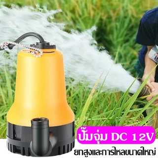 ปั๊มน้ำแบบแช่ ปั๊มน้ำไฟฟ้า ปั้มน้ำ มินิ12VDC ปั๊มน้ำไดโว่ Submersible Pump ท่อ1"ปั๊มน้ำ แกนทองแดง ปั้มแช่ ปั๊มบาดาล