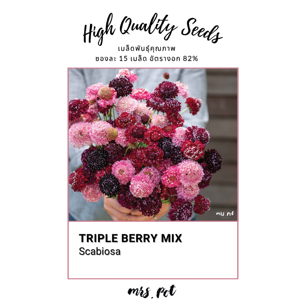 เมล็ด Triple Berry สายพันธุ์ Triple Berry Mix รหัส120