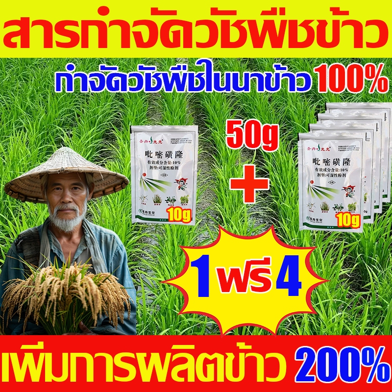 🍁วัชพืช🍁 สารกำจัดวัชพืช 10g ซื้อ1แถม4 ประเภทดูดซึม ใช้กำจัดวัชพืชใบแคบหลังงอก เช่น หญ้านกสีชมพู หญ้าข้าวนก