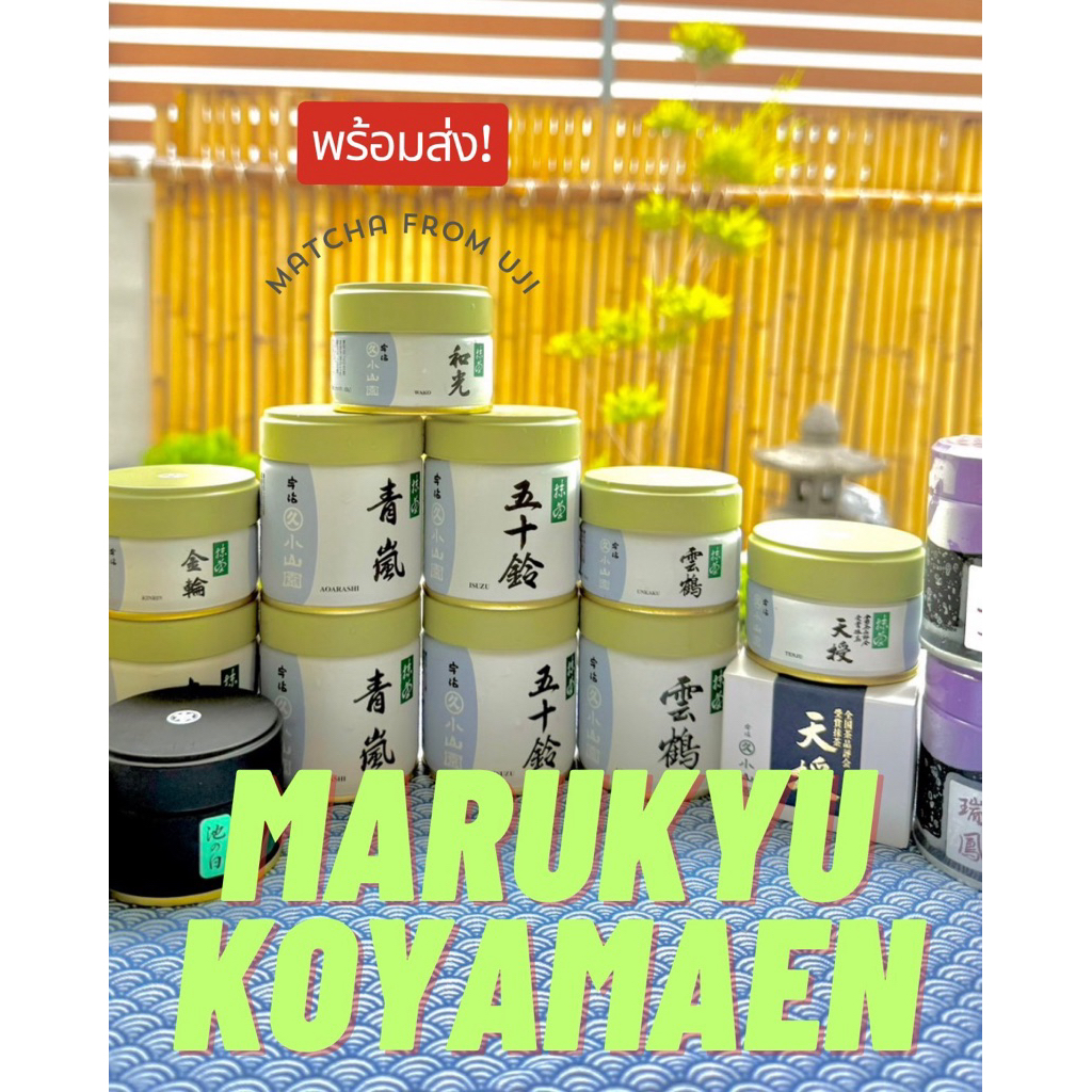 พร้อมส่ง! Marukyu Koyamaen 🌱🍵 | Tenju Unkaku Kinrin Isuzu Wako Aoarashi