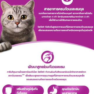 {FS} Whiskas อาหารเปียกแมว ยกลัง 28 ซอง วิสกัส เพาซ์ ยกลัง คละรสไม่ได้ มีครบทุกรสชาติ