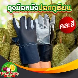 💥ส่งฟรี‼️💥ถุงมือหนังใช้ปอกและรับทุเรียน ✅คละสี 1 คู่ (ขนาดฟรีไซส์)