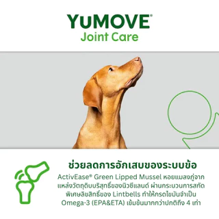 YuMOVE ADVANCE 360 for Dogs (120 เม็ด) สูตรดูแลข้อต่ออย่างครบถ้วนสำหรับสุนัขที่มีภาวะข้อเสื่อมแล้ว