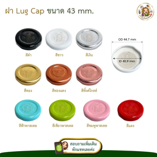 เฉพาะฝา‼️ฝาเกลียวล็อค 30-53 mm. ✅ (SET 5 ชิ้น) หลายสี