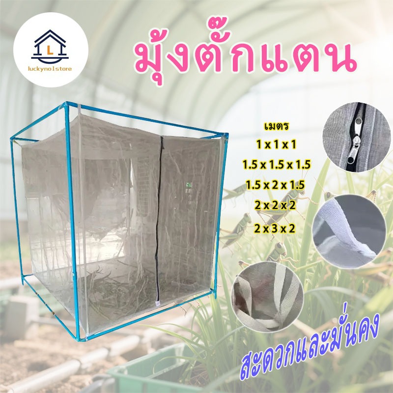 กระชังตั๊กแตน 32ตา หนากว่าและเข้ารหัส มุ้งเลี้ยงตั๊กแตน มุ้งตั๊กแตน มุ้งครอบกรงกันยุง
