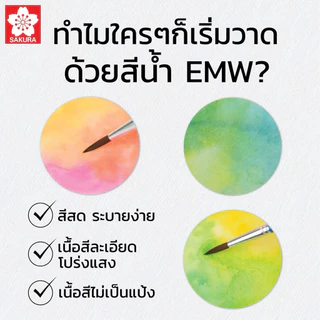 Sakura สีน้ำ ซากุระ 12 / 15 / 15GS / 18 / 24 สี Sakura Mat Water Colors