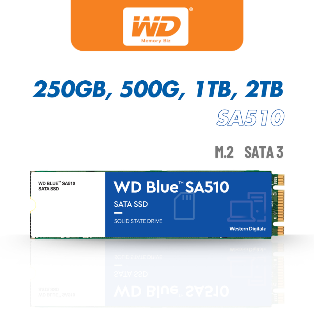 WD Blue SA510 SSD 500GB ,250GB, 1TB M.2,SATA 3(6GB/S) - WDBLUE WDS250G3B0B WDS500G3B0B เอสเอสดี