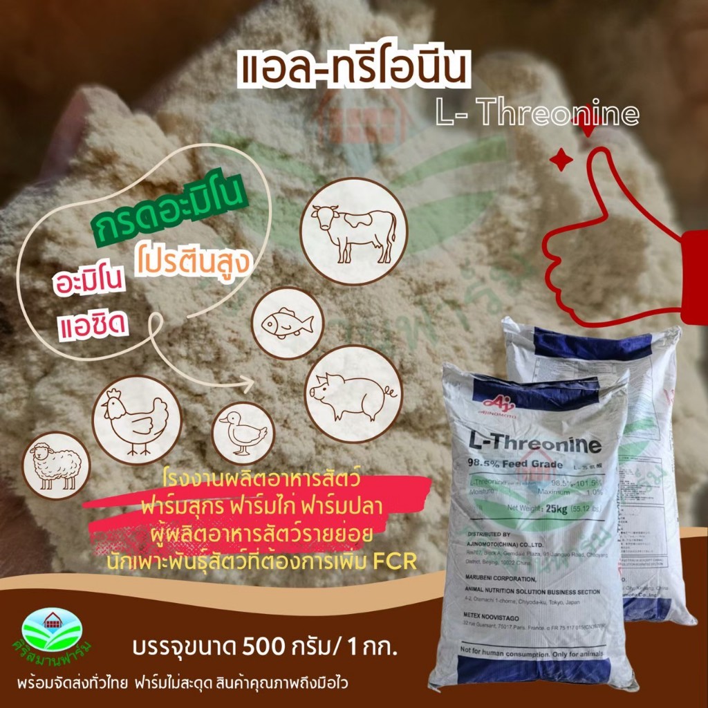 แอล-ทรีโอนีน L- Threonine  กรดอะมิโน อะมิโนแอซิด โปรตีนสูง ใช้ในผสมอาหารสัตว์ หมู ไก๋ เป็ด ปลา วัว (เกรดอาหารสัตว์)