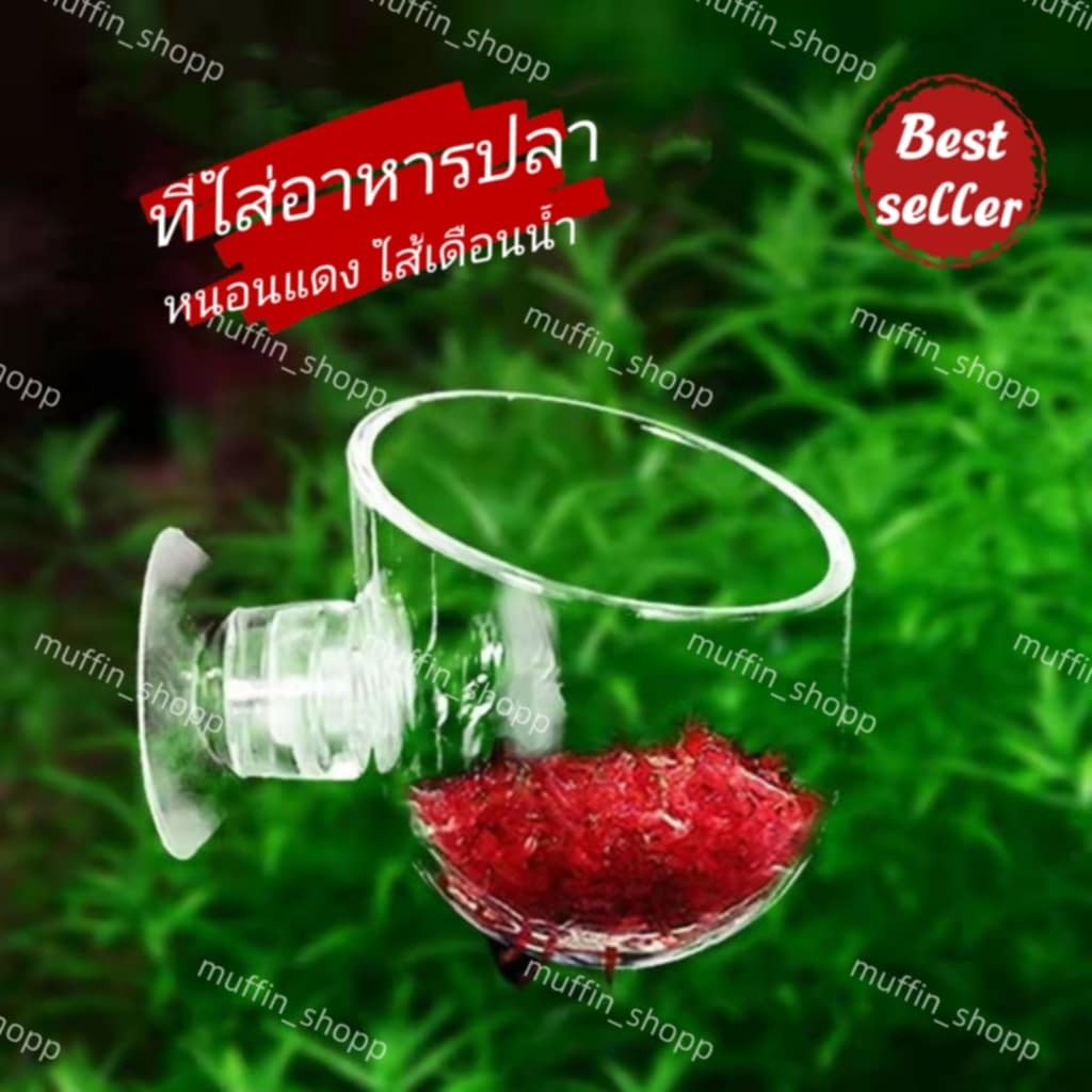 ถ้วยให้อาหารปลา หนอนแดง ใส้เดือนน้ำ ทำจากแก้วคุณภาพสูง ที่ปลูกต้นไม้น้ำ อุปกรณ์เลี้ยงปลา ส่งไวจากไทย