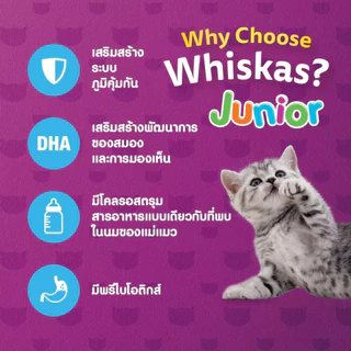 [ล็อตใหม่] Whiskas อาหารแมว วิสกัส จูเนียร์ ลูกแมว ปลาทู ปลาทะเล บำรุงขน เสริมภูมิ ทานง่าย ส่งด่วน ขนาด 1.1 kg